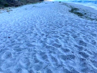 Beach fun with a petite babe – anal, cumshot and more!