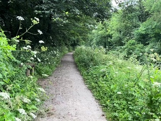 Great Big Boobs On Masturbating Redhead