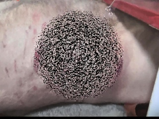 torment femdom fetishmegastore