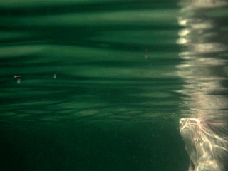 Redhead slut with big boobs goes down